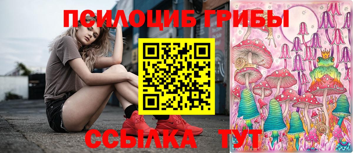 Лабинск  Галлюциногенные грибы Cubensis  Вход с VPN 