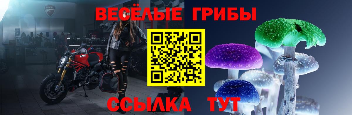 Галлюциногенные грибы прущие грибы Лабинск